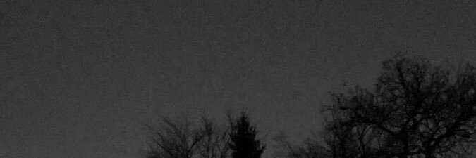 davidgiov_'s profile banner image