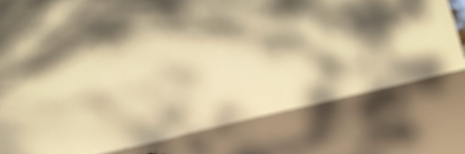 Leonnpina's profile banner image