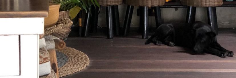 _drohendi's profile banner image