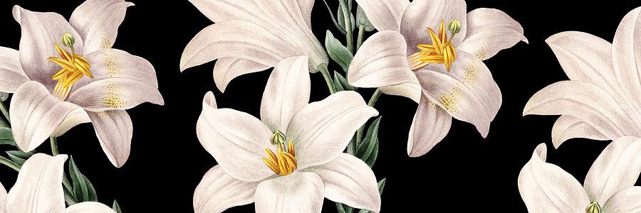 montsun's profile banner image