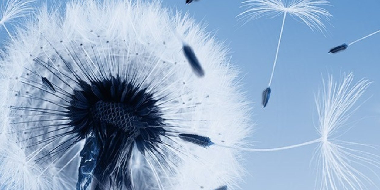 Jamal Rafique (Ph.D., MRSC) banner