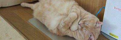 hamano_hideaki's profile banner image