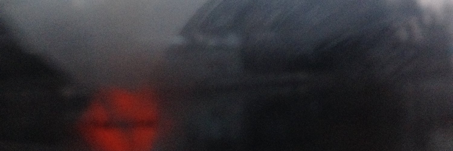 tinybabyhuman's profile banner image