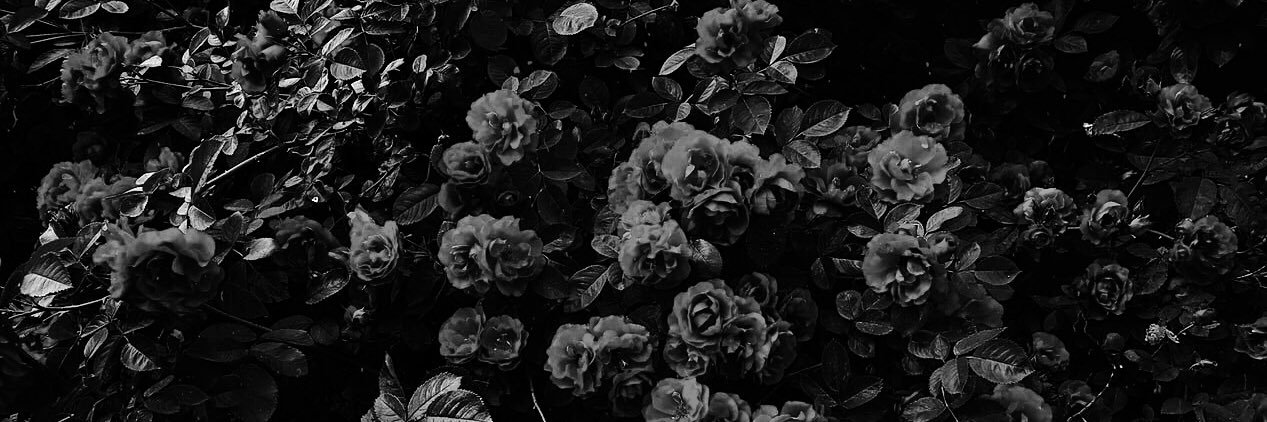 dehseticinde's profile banner image