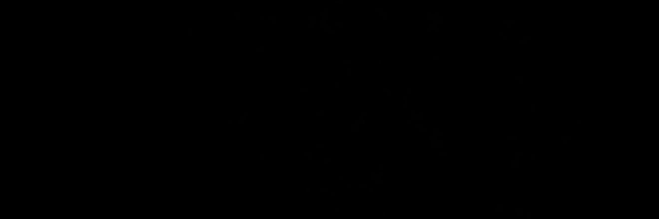 dolii_94's profile banner image