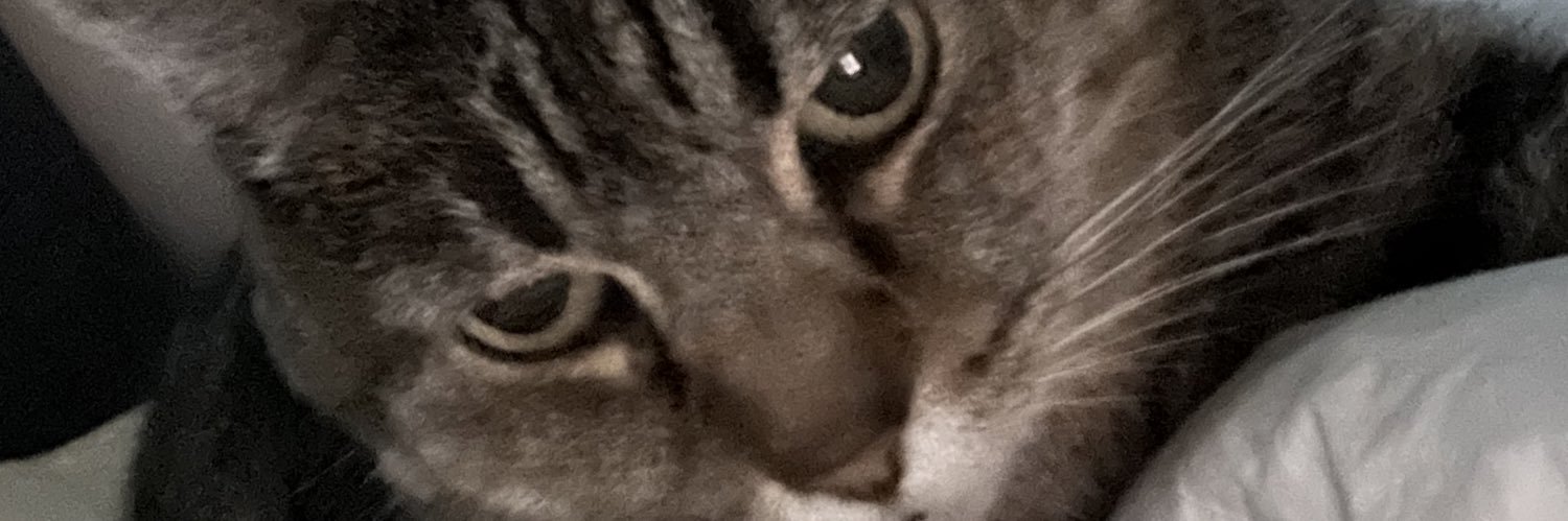 KL_Leedy's profile banner image