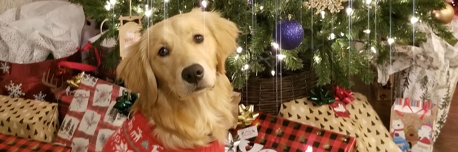 KelciPeck's profile banner image