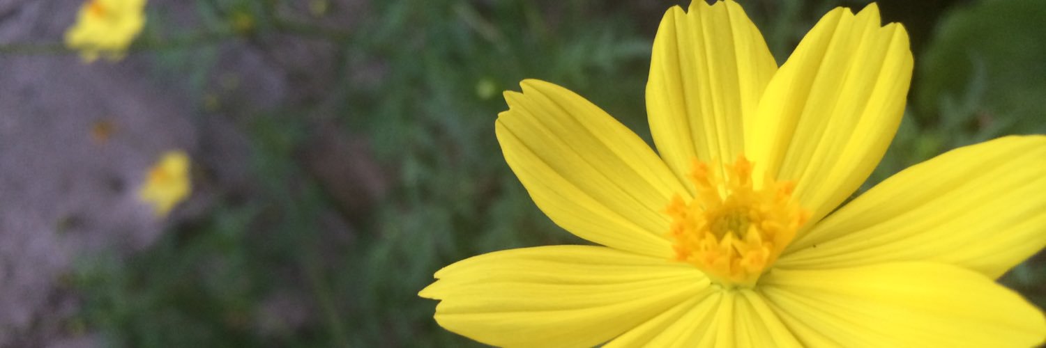 lessscaaa's profile banner image