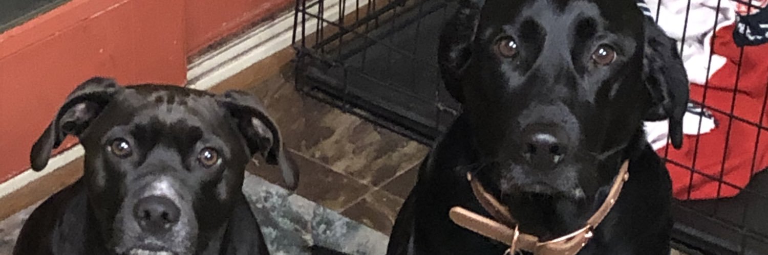 TchidaTT's profile banner image