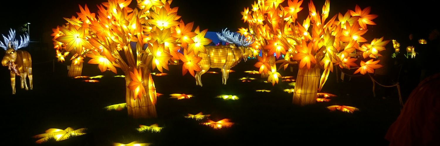 MonMon966's profile banner image