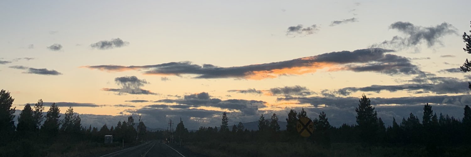 cuddletimekitty's profile banner image