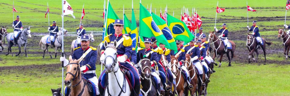 geraldomiotto's profile banner image