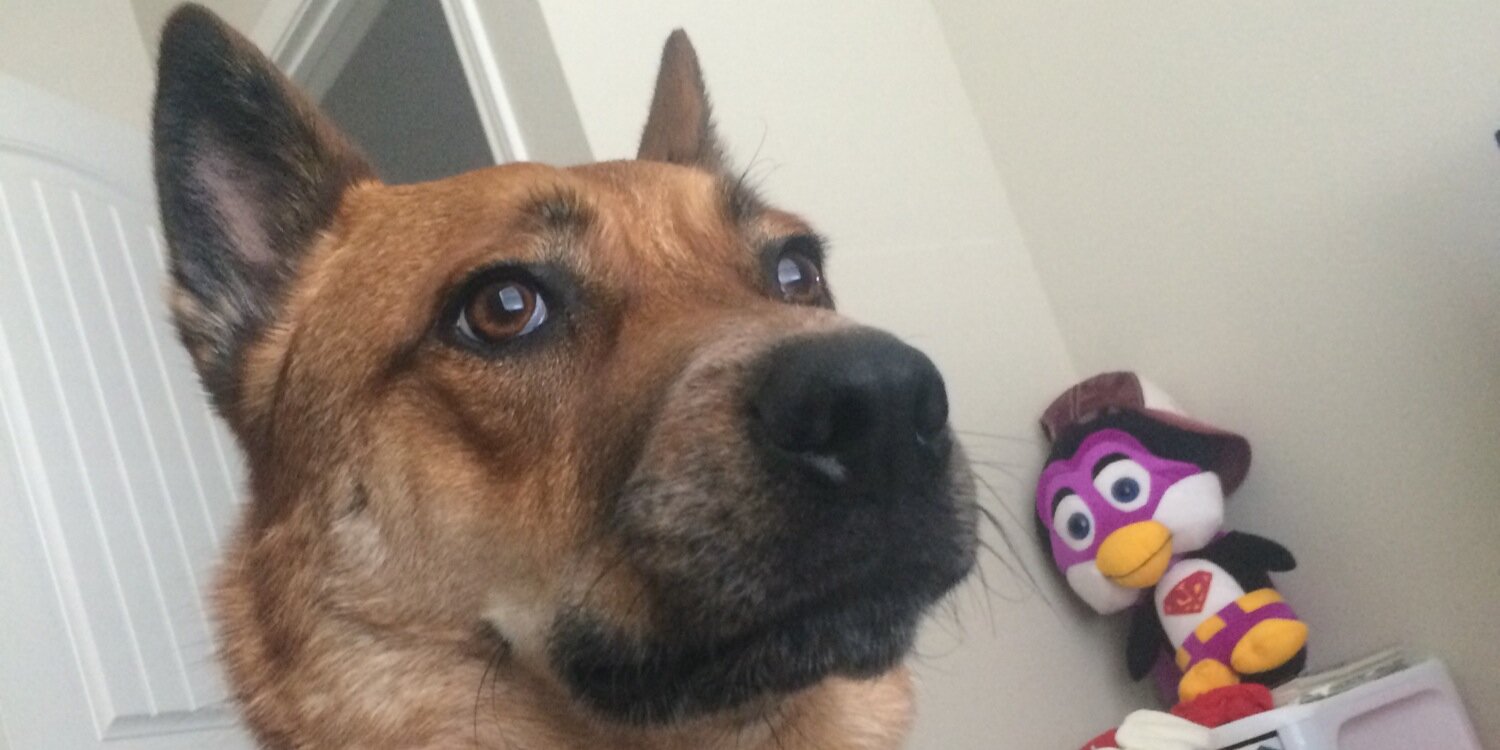 GarrettHampton_'s profile banner image