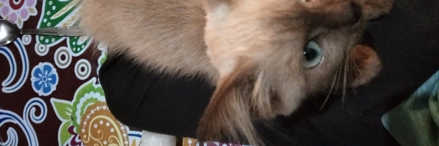 lianantaSarah's profile banner image