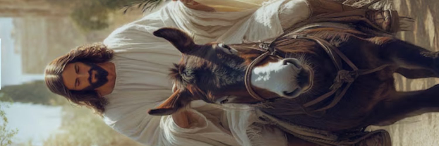 fetch6's profile banner image