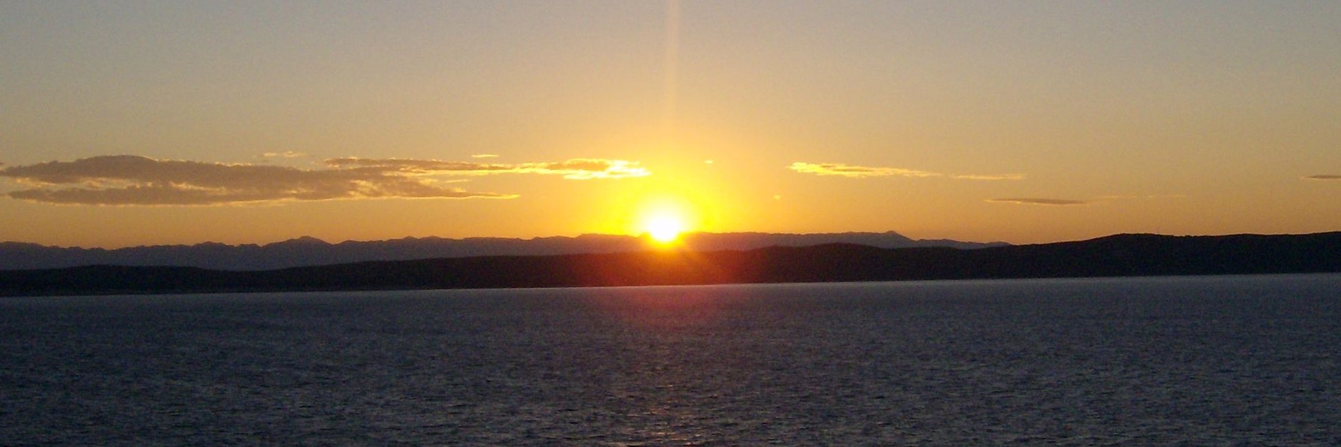 RhonnMarney😎 banner