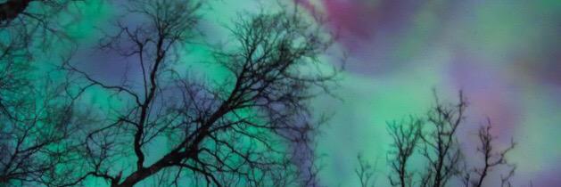 annabearscott's profile banner image