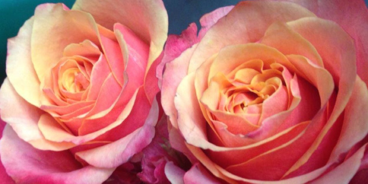 WereKindaPretty's profile banner image