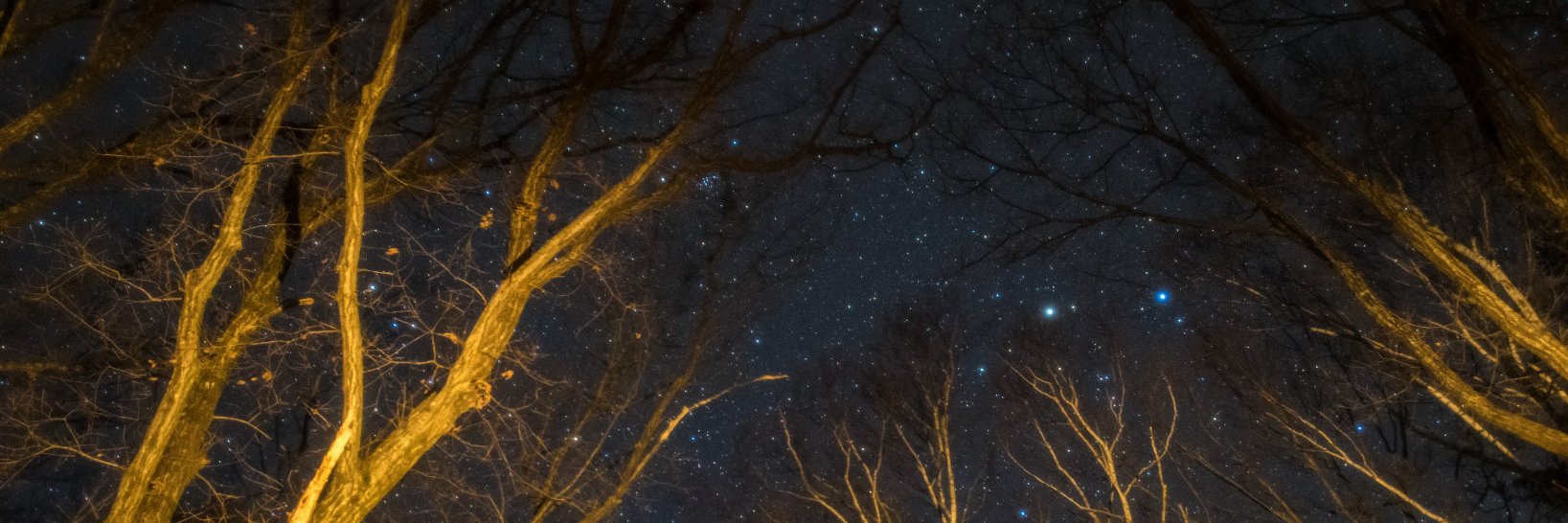 Mtennmon's profile banner image