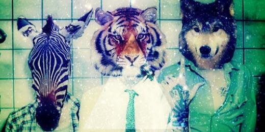 adellahardy's profile banner image