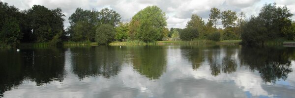 grantdain Profile Banner