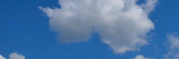 adptri_'s profile banner image
