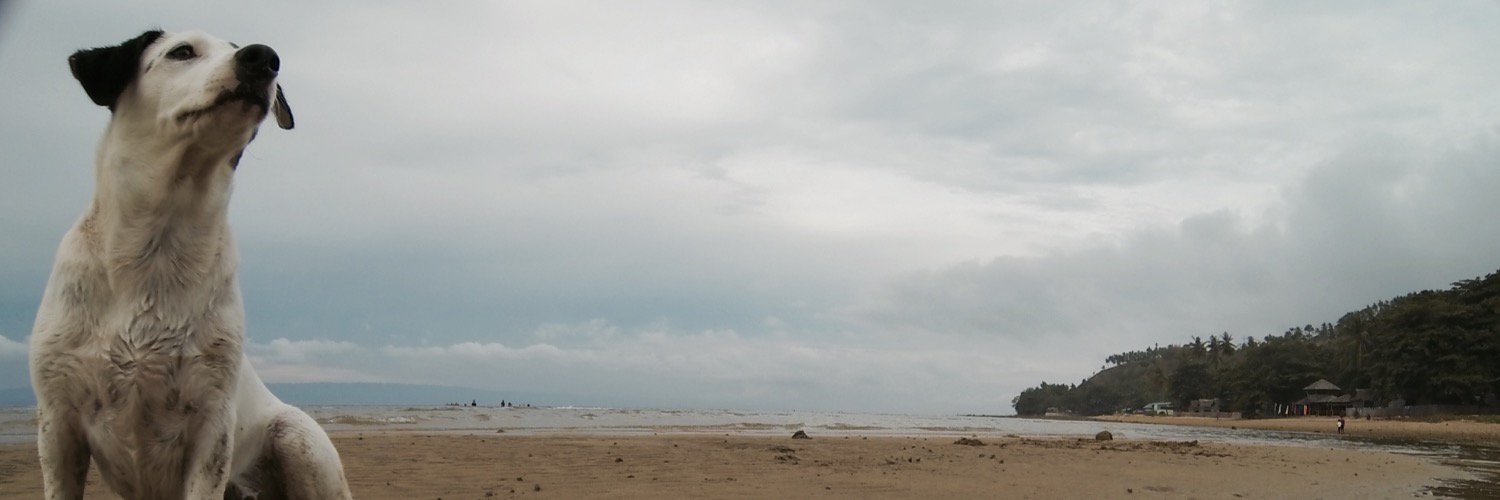 jhongdman's profile banner image