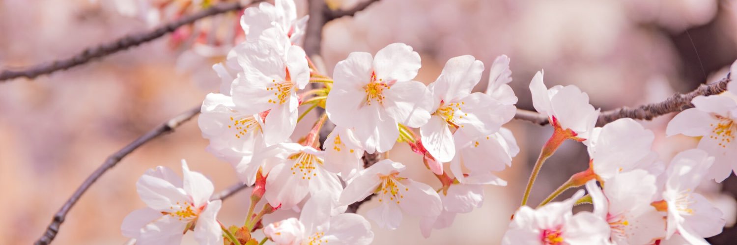 vitallik92's profile banner image