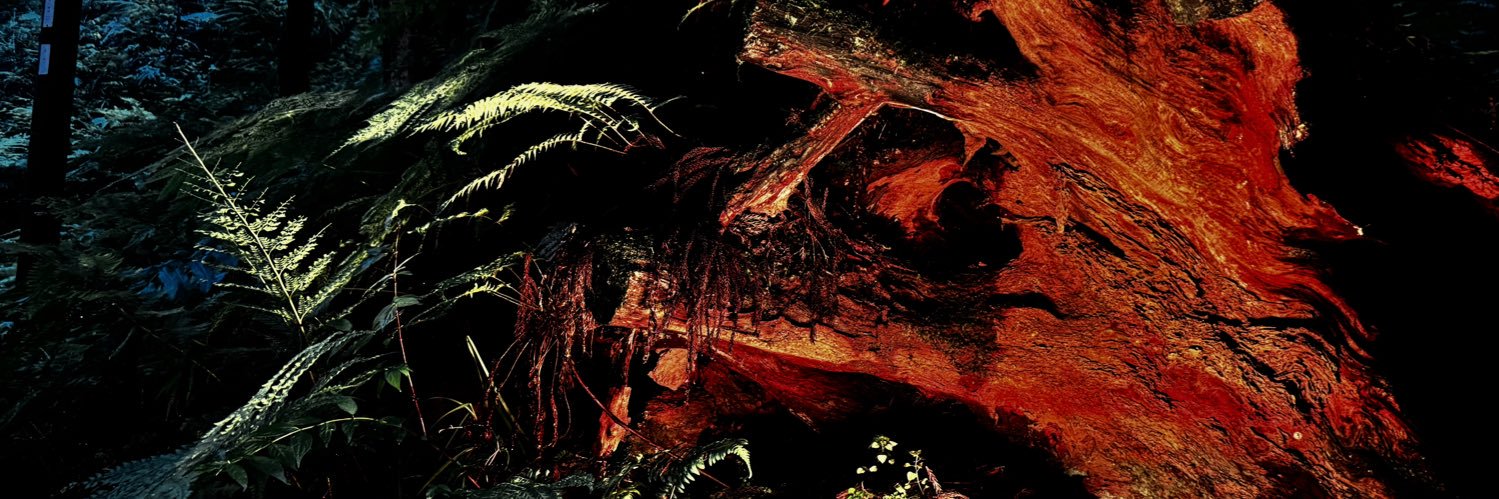 ukk0ma's profile banner image