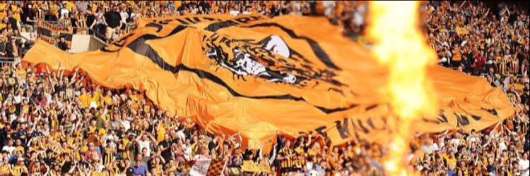 LordTylerRobson's profile banner image