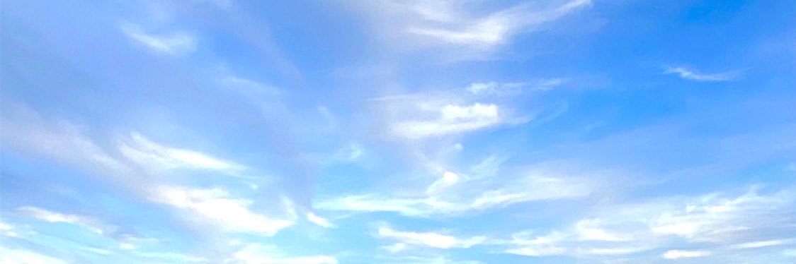 RavenDever's profile banner image
