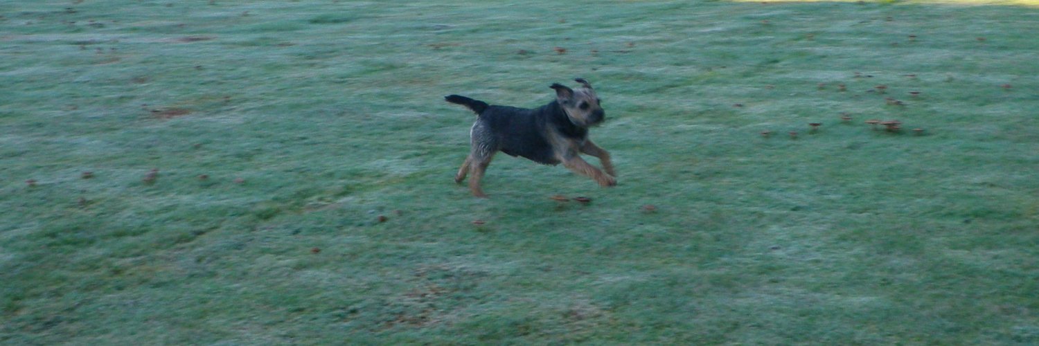 Stan Border Terrier banner
