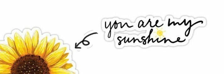 jongjonghyo's profile banner image