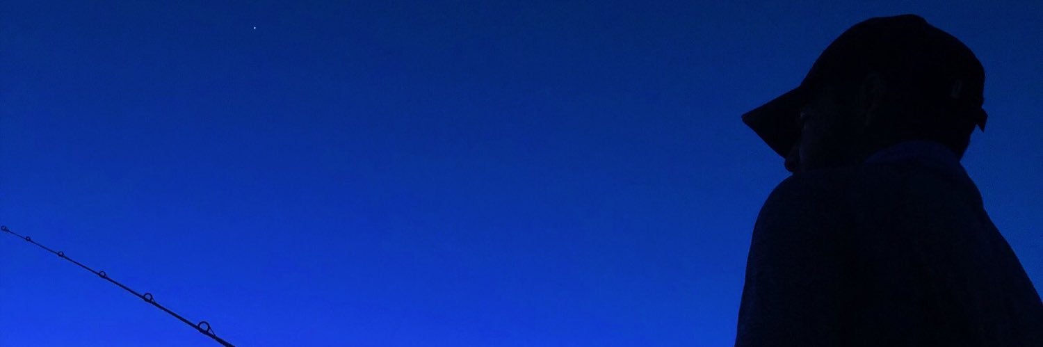 AnellFimbres's profile banner image