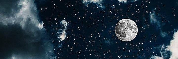 riadwi_sari's profile banner image