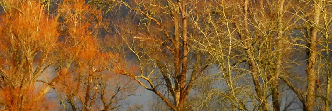 Malvarez65R's profile banner image