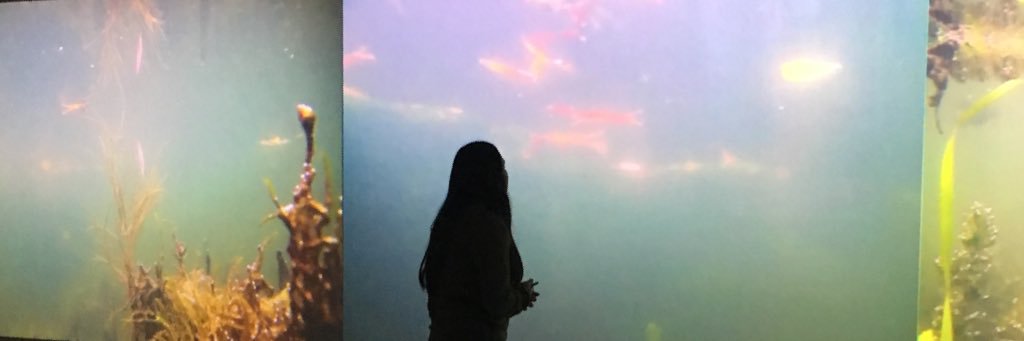 aylefo's profile banner image