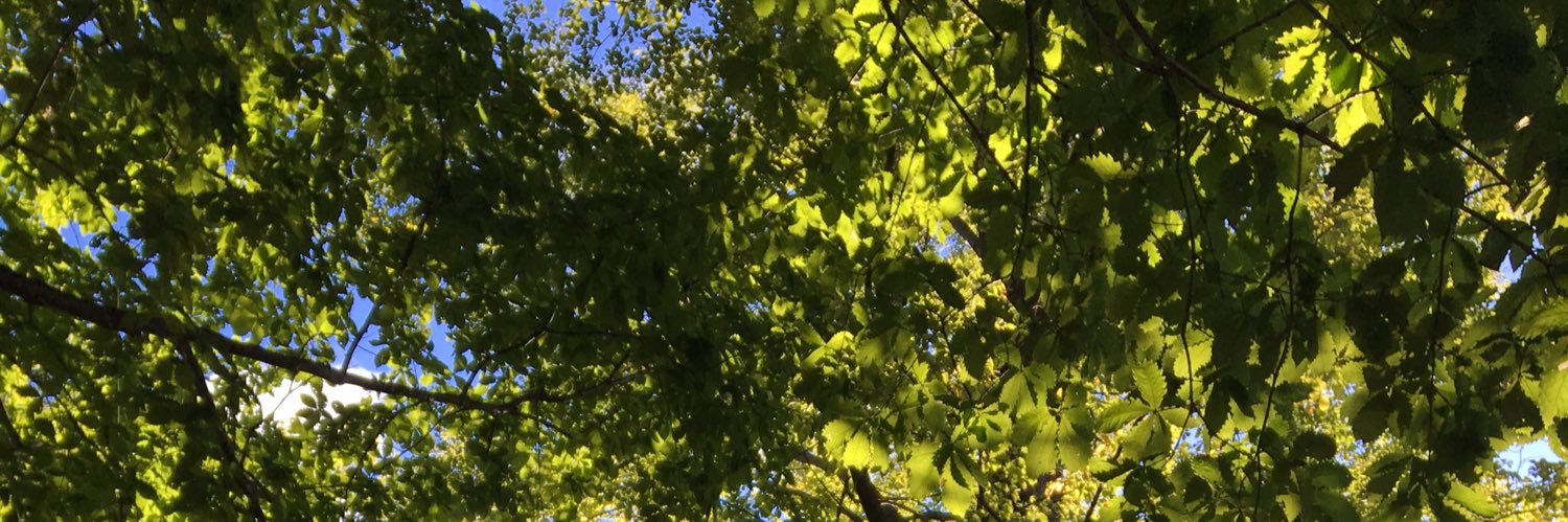 MinaYuu09's profile banner image