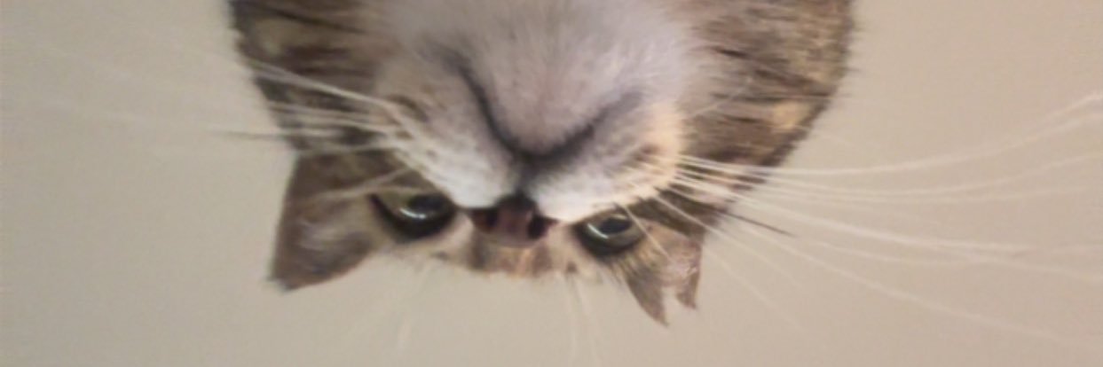 Menno Budding banner