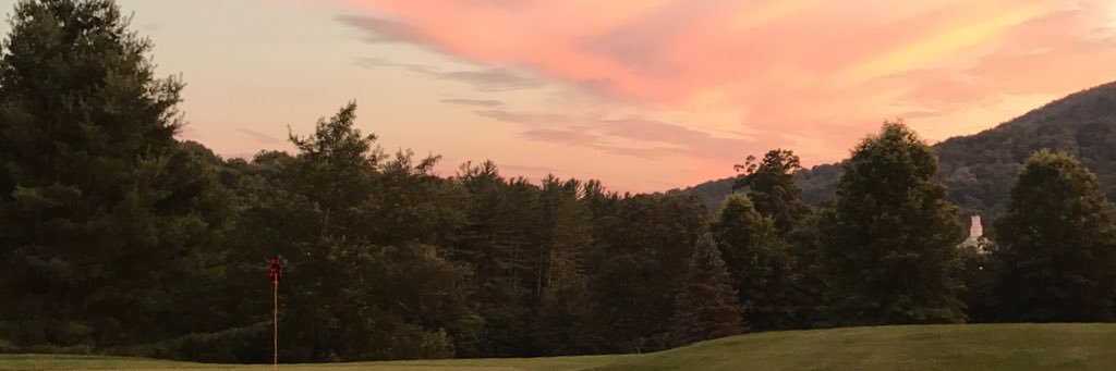 CP5041995's profile banner image