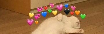 ssssssmss's profile banner image