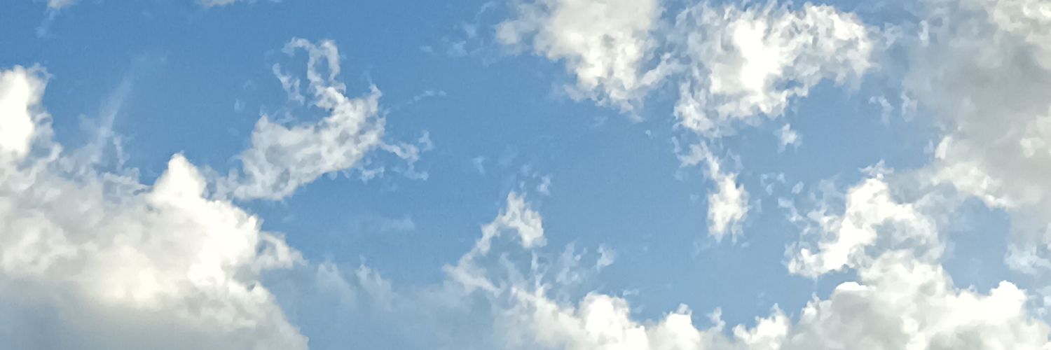 derpidydoo's profile banner image