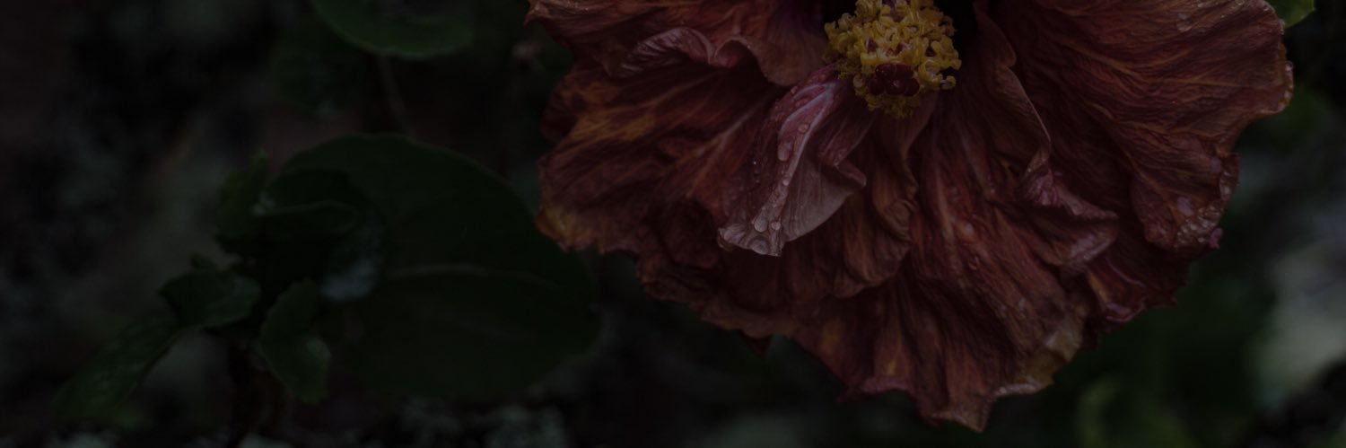 ashbobb's profile banner image