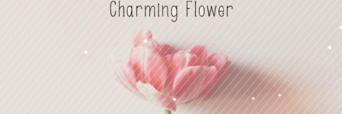amel_marda's profile banner image