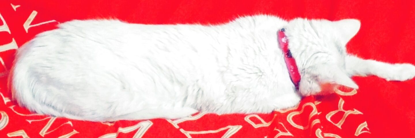 plnygcgl's profile banner image