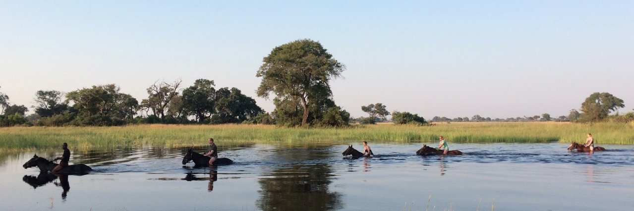 RidingSafaris's profile banner image
