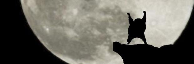 HRKK1944's profile banner image