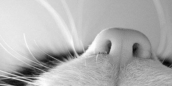 karla_chagas's profile banner image