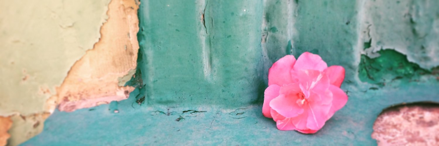 Lussiezamolo's profile banner image