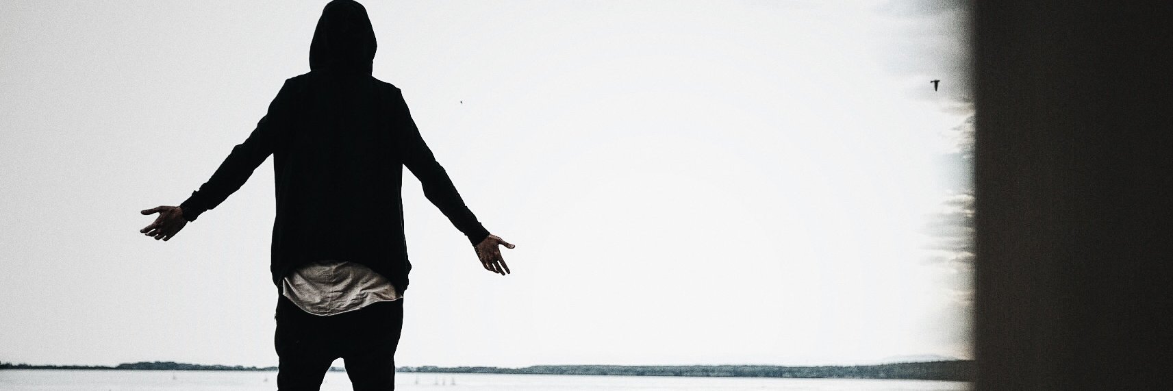 partyTRBL's profile banner image
